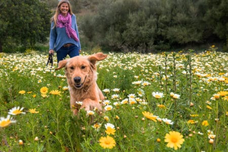 Maßgeschneiderte BIO-Kost für Hunde: Das Waldläufer-Futterkonzept